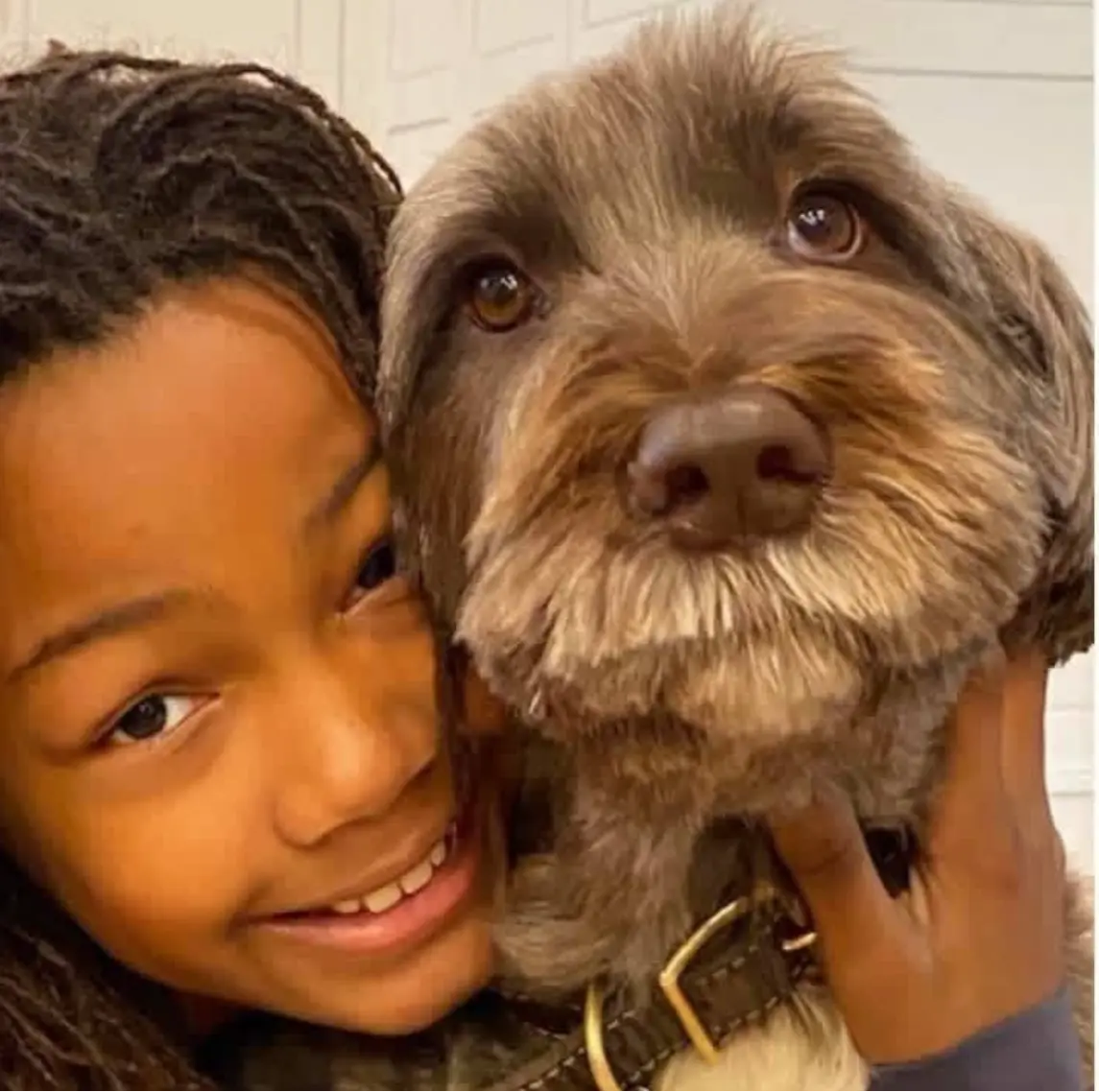 A smiling girl hugging her brown curly-coated dog cheek to cheek