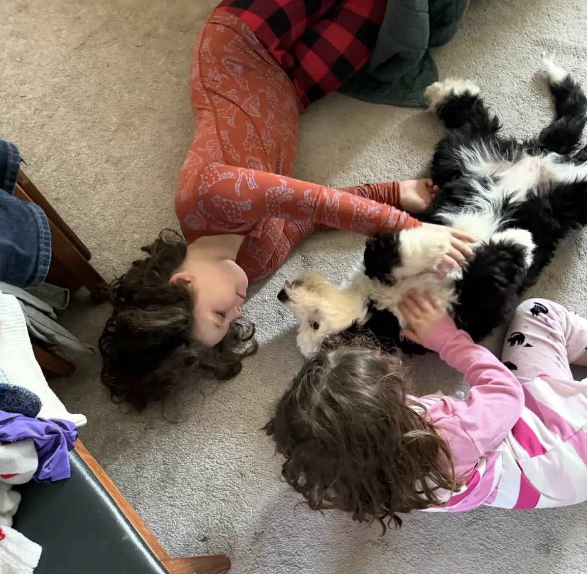 Two children lying on the carpet in pajamas playing with two puppies