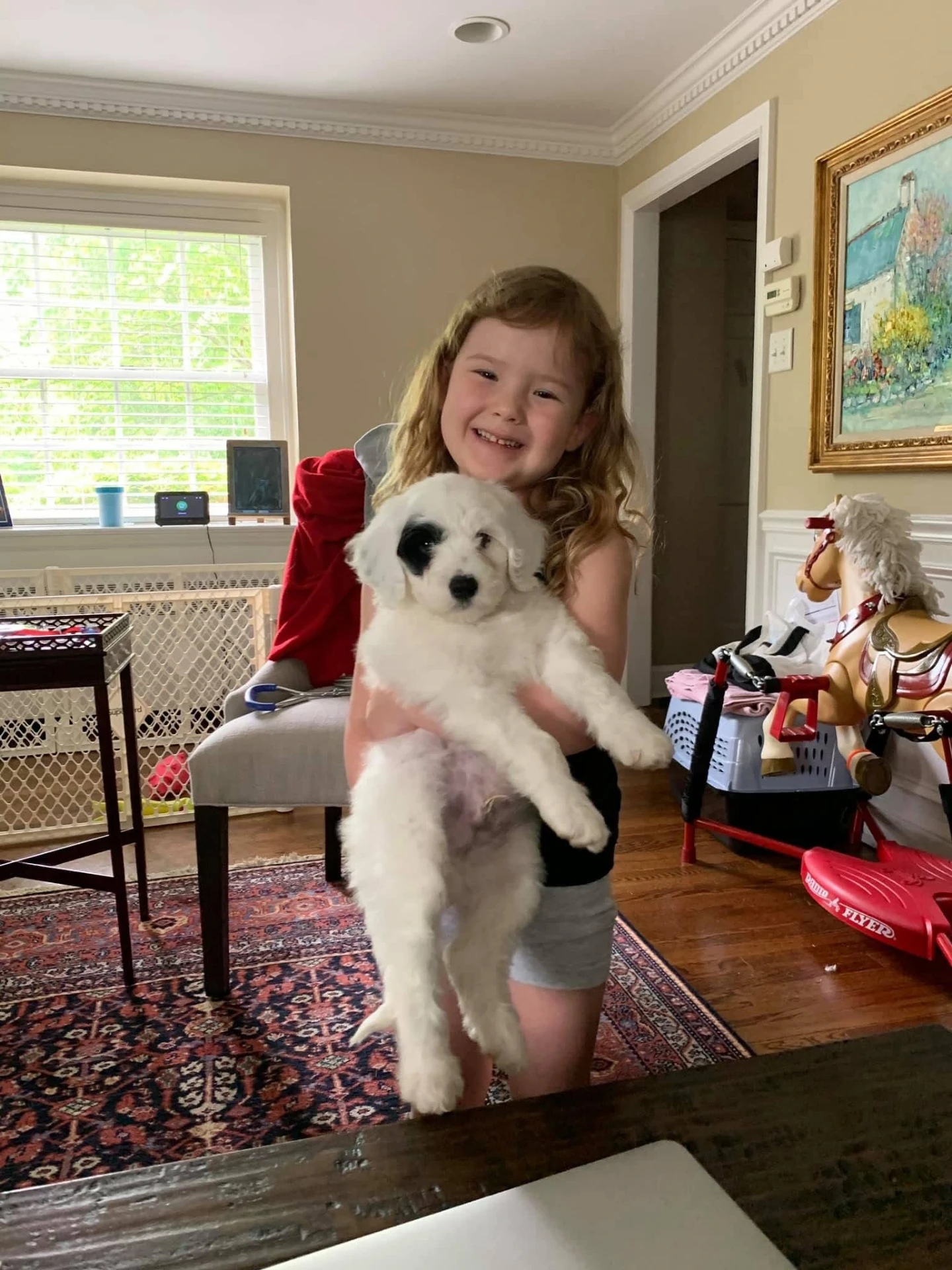 A young girl cradling a fluffy white puppy in her arms